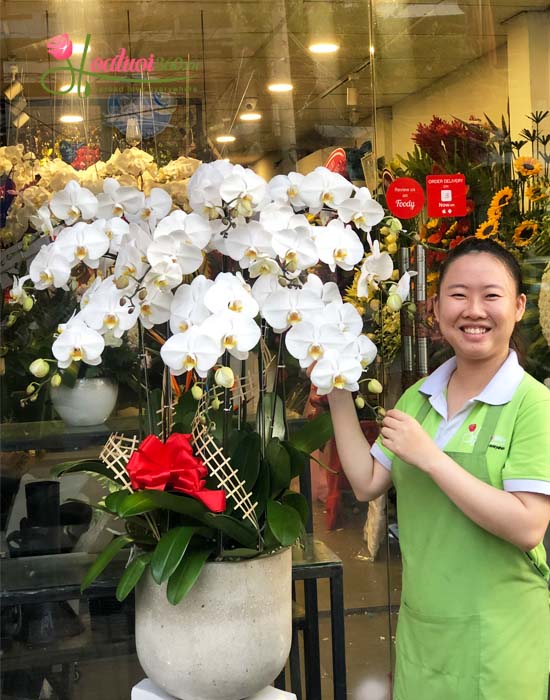 Shop hoa tươi Hà Giang uy tín chất lượng
